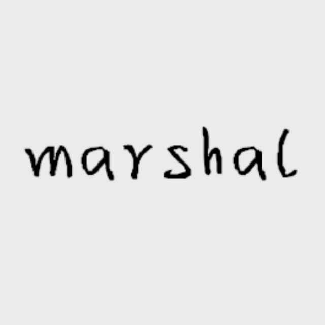 marshal Snippets